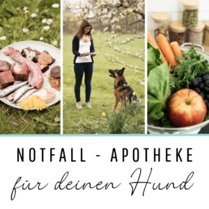 Notfall-Apotheke